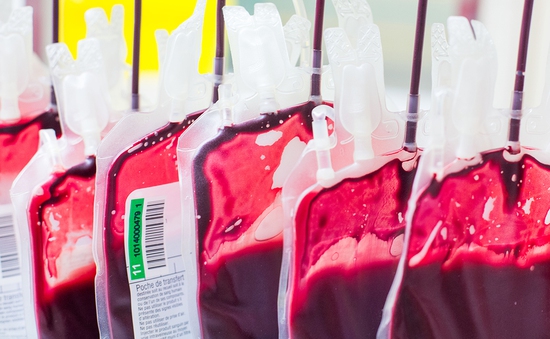 Lần đầu tiên tạo ra tế bào gốc máu trong phòng thí nghiệm