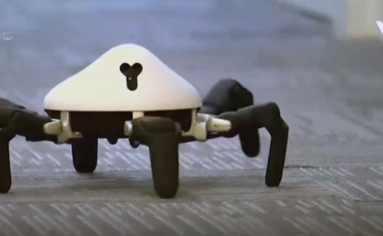 Hexa - Robot mô phỏng loài nhện