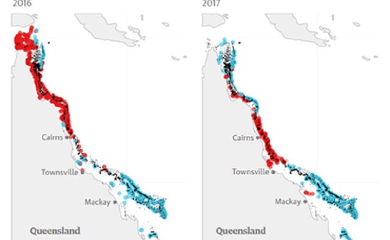 Australia không thể phục hồi rạn san hô Great Barrier Reef