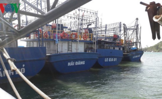 25 chủ tàu vỏ thép ở Bình Định phải chịu nợ quá hạn