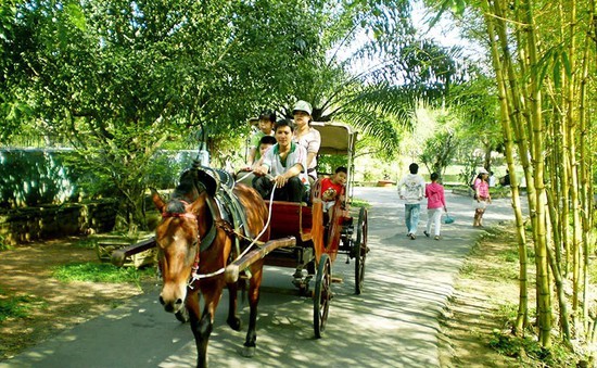 Trải nghiệm du lịch xe ngựa trên đất Tiền Giang