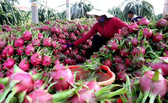 Trung Quốc siết chặt điều kiện nhập khẩu nông sản