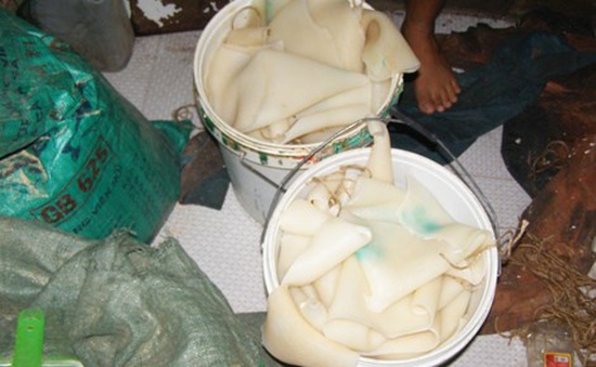 Hưng Yên: Phát hiện cơ sở chế biến hơn 4 tấn bì lợn bẩn