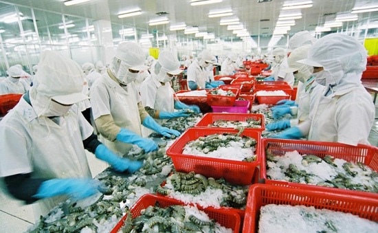 Xuất khẩu tôm Việt Nam vào EU có thể tăng từ 4-6%