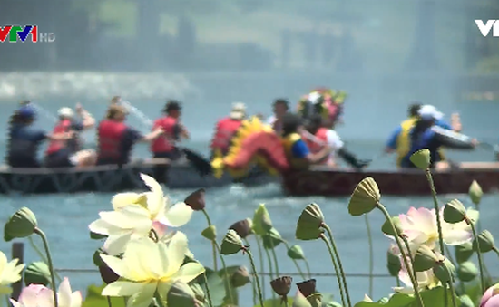 Lễ hội Hoa sen - Tôn vinh bản sắc văn hóa châu Á