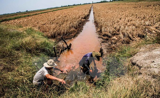 Việt Nam cần 368 tỷ USD khắc phục tác động của biến đổi khí hậu