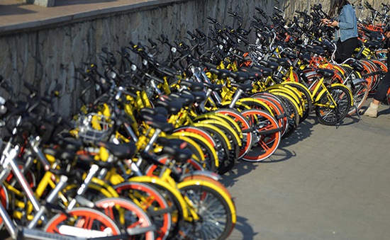 Mobike và Ofo lên kế hoạch sáp nhập dịch vụ xe đạp chia sẻ