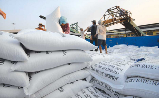 Doanh nghiệp Việt đảm bảo chất lượng gạo để xuất khẩu vào Mỹ