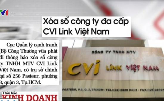 Xóa sổ Công ty đa cấp CVI Link Việt Nam
