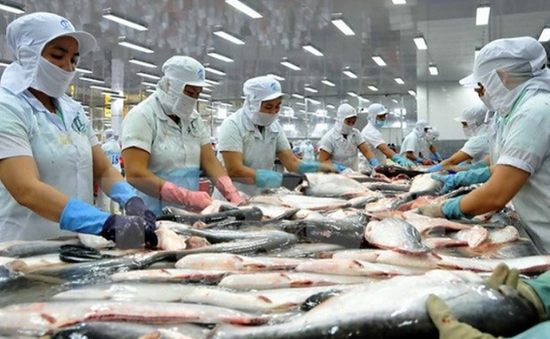 Xuất khẩu cá tra sẽ cán mốc 1,8 tỷ USD