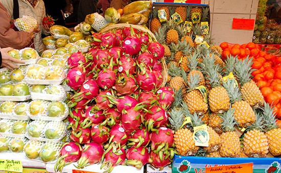 Xuất khẩu quả, rau, hoa: Giải pháp thoát nghèo cho khu vực nông thôn