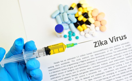 Ấn Độ thử nghiệm thành công vaccine Zika trên chuột
