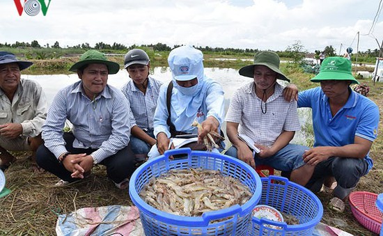 Thành lập Quỹ hỗ trợ phát triển ngành phụ phẩm tôm Việt Nam