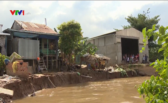An Giang: Sạt lở làm 2 nhà dân chìm xuống sông