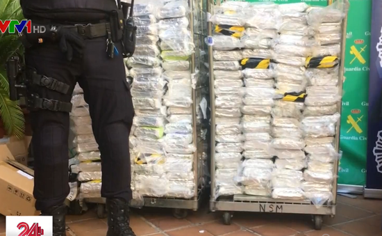 Tây Ban Nha thu giữ 6 tấn cocaine giấu trong thùng chuối nhập khẩu