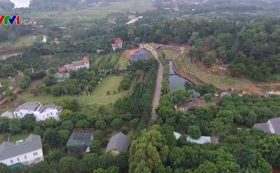 Làm rõ nguồn gốc đất 16 hộ bị cưỡng chế tại Sóc Sơn (Hà Nội)