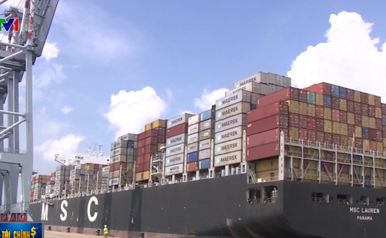 Giá dịch vụ xếp dỡ container tại cảng biển của Việt Nam còn thấp