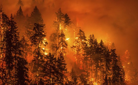 Ít nhất 9 người thiệt mạng do cháy rừng ở California, Mỹ