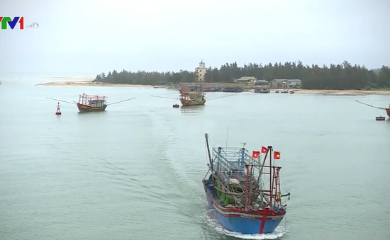 EU đánh giá cao nỗ lực khắc phục “thẻ vàng” thủy sản của Việt Nam