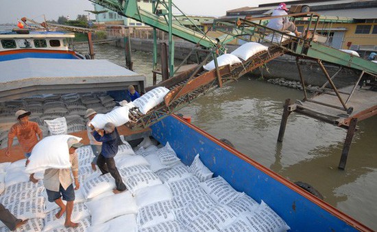 Gạo Việt khẳng định vị trí top 3 về xuất khẩu