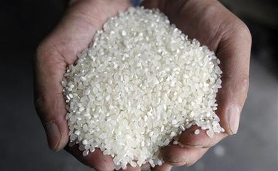 Sản lượng gạo Hàn Quốc thấp nhất trong gần 40 năm