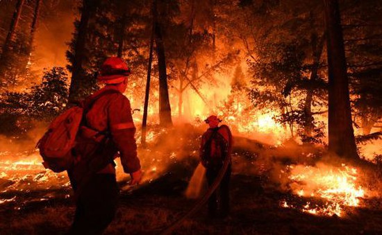 Điều tra về cháy rừng ở California, Mỹ