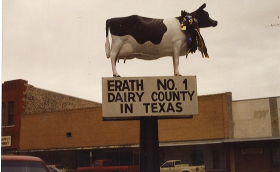Trải nghiệm phiên đấu giá bò ở Texas