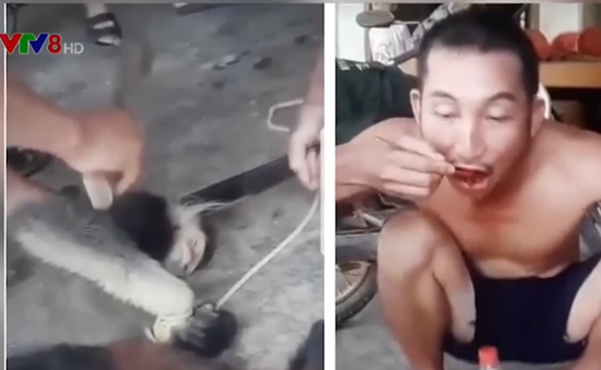 Truy tìm đối tượng giết khỉ dã man đưa lên Facebook tại Hà Tĩnh