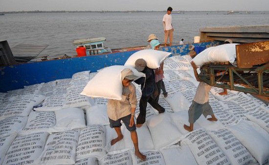 Nghị định 107 - Tiền đề cho gạo Việt rộng đường xuất khẩu