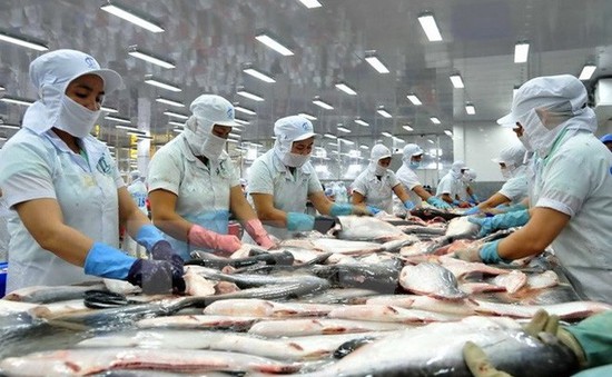 Hết tháng 11/2018, xuất khẩu cá tra cán mốc 2 tỷ USD