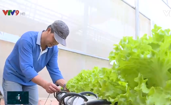 Lâm Đồng phát triển mô hình nông nghiệp thông minh