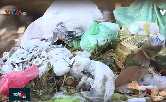 Khó xử lý tình trạng rác thải nông nghiệp tại các thành phố