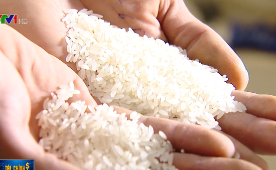 Quy định chặt chẽ về việc sử dụng thương hiệu gạo Việt Nam
