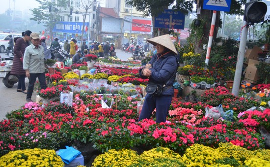 Chợ hoa Hoàng Hoa Thám rực rỡ, náo nhiệt ngày cận Tết
