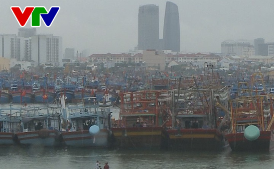 Các tỉnh, thành phố từ Đà Nẵng đến Kiên Giang chủ động ứng phó với bão Sanba
