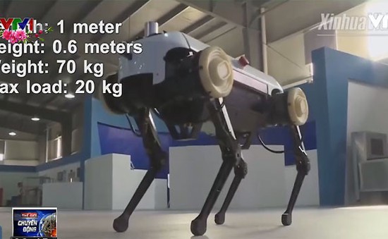 Robot 4 chân bay như ngựa vẫn mãi là một công nghệ ấn tượng và thú vị. Hãy khám phá những hình ảnh đầy ấn tượng và độc đáo này với công nghệ hội tụ tới tay bạn.