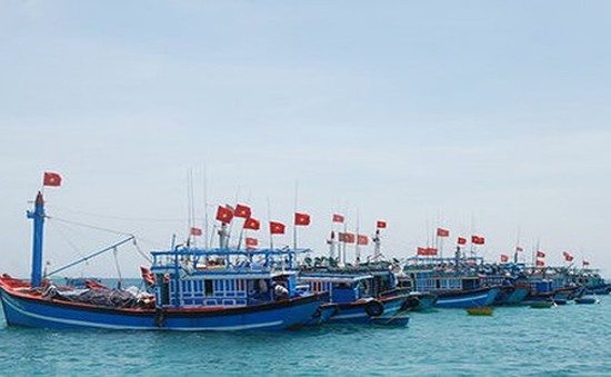 Ngư dân Phú Yên mở cửa biển - Bắt đầu mùa khai thác "có trách nhiệm"