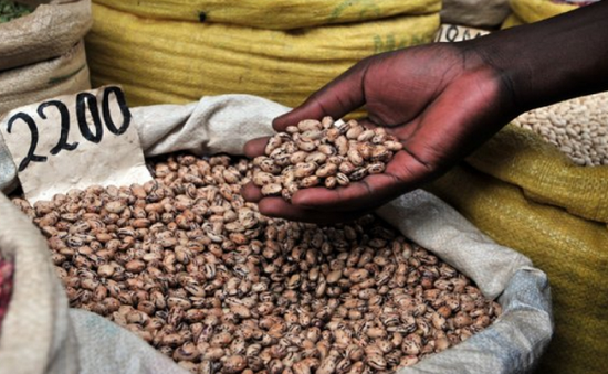 LHQ cảnh báo về nguy cơ mất an ninh lương thực tại châu Phi