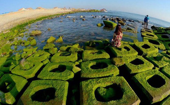 Độc đáo những phiến đá rêu xanh tại Phú Yên