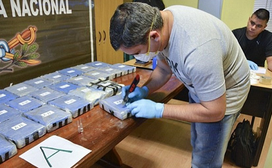 Đại sứ quán Nga ở Argentina giúp cảnh sát phá đường dây ma túy