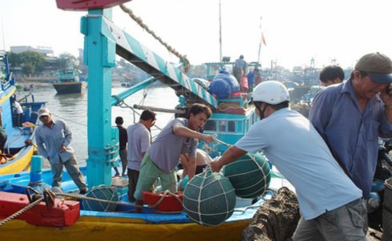 Ngư dân Bình Thuận săn "lộc biển" đầu năm