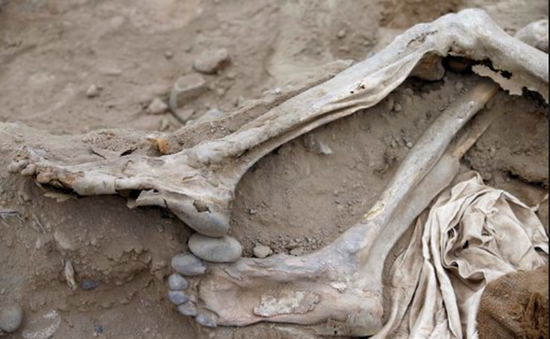 Phát hiện xác ướp người nhập cư Trung Quốc ở Peru