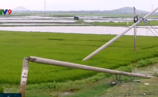 Khánh Hòa: 4 tháng sau bão số 12, hàng loạt trụ điện gãy đổ vẫn ngổn ngang