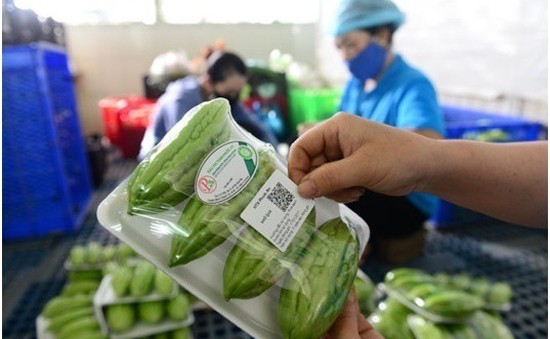 Đà Nẵng: Thí điểm dán tem QRcode truy nguồn gốc thực phẩm