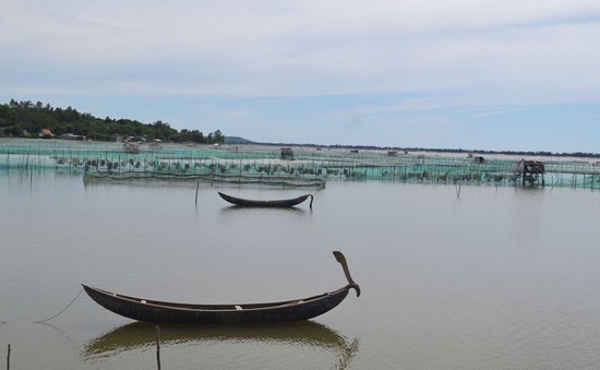 Phú Yên: Hơn 300ha mặt nước đầm Ô Loan bị lấn chiếm