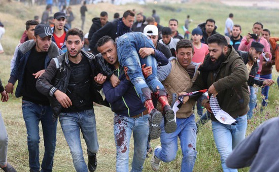 EU yêu cầu điều tra độc lập về tình hình thương vong tại Gaza
