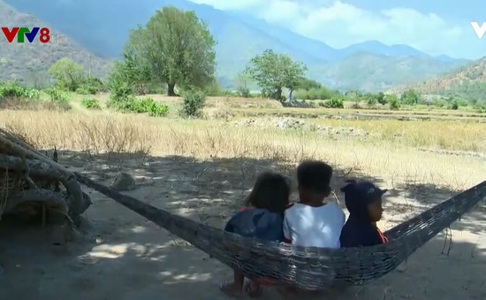 Ninh Thuận: Mất sinh kế trong mùa khô hạn, cuộc sống người dân gặp nhiều khó khăn