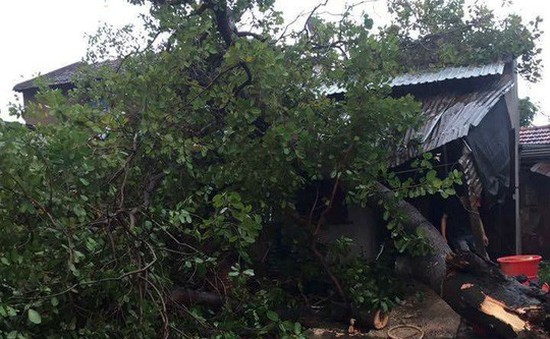 Khẩn trương giúp dân sửa chữa 600 căn nhà tốc mái do lốc xoáy tại Đăk Lăk