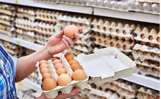 Vi khuẩn gây tiêu chảy Salmonella xâm nhập vào trứng gà như thế nào?