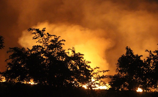 Rừng tràm ở huyện Bình Chánh bốc cháy ngùn ngụt trong đêm